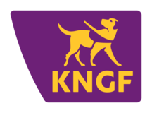 img-160_logo_knfg.png